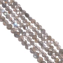 Labradorite 4.5-5.5mm Faceted Coin Beads Strand, Labradorite Faceted Coin Beads, Labradorite